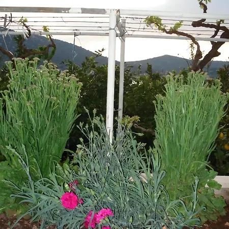Fuer Drei Personen Mit Eigenem Balkon * Vinišće